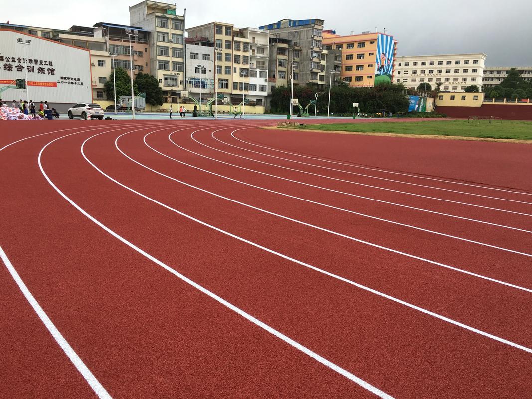 延边朝鲜族自治州学校塑胶跑道塑胶跑道材料 - 推荐